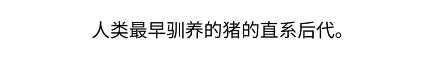 《胖达x胖达》第174话 第22页