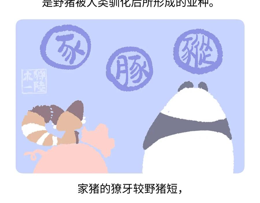 《胖达x胖达》第174话 第18页