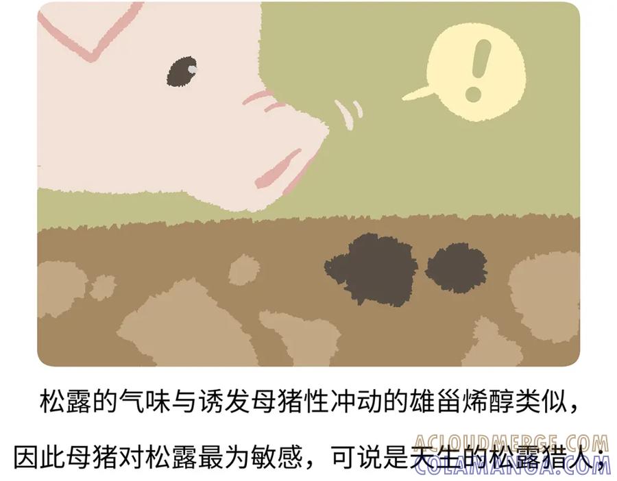 《胖达x胖达》第174话 第27页