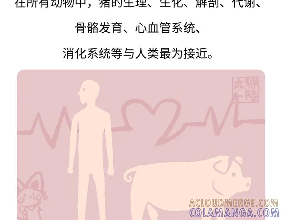 《胖达x胖达》第174话 第25页