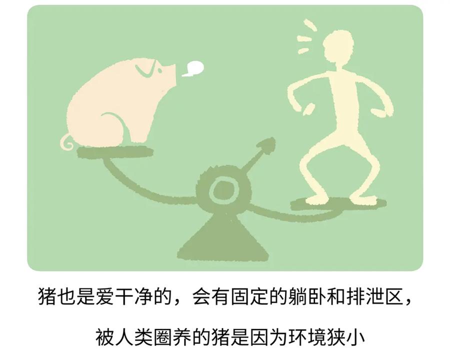 《胖达x胖达》第175话 第22页