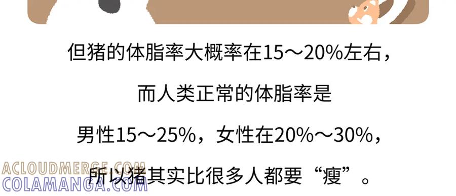 《胖达x胖达》第175话 第21页