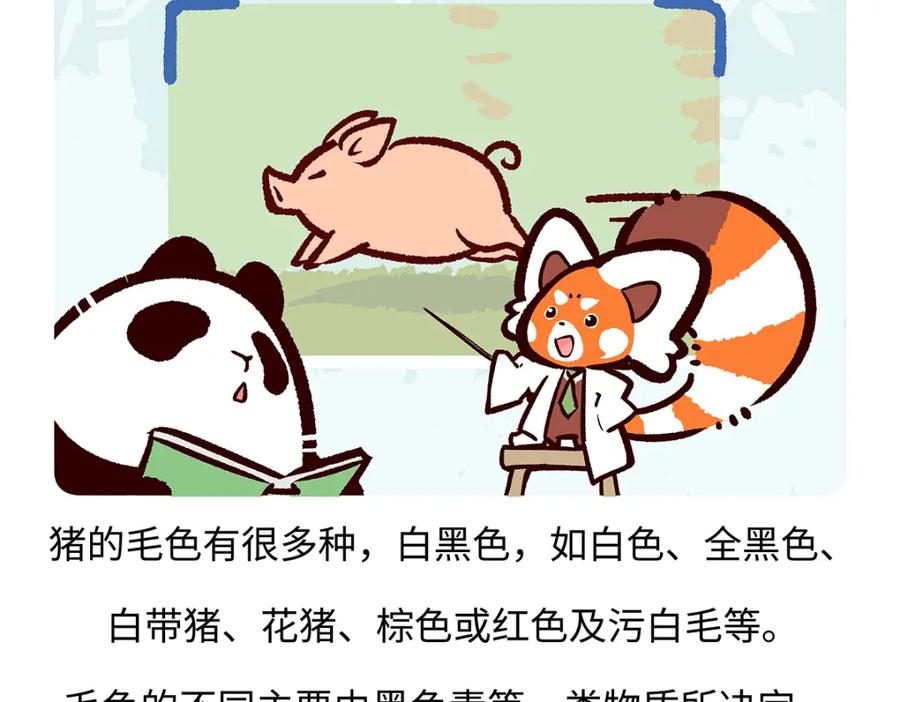 《胖达x胖达》第175话 第26页