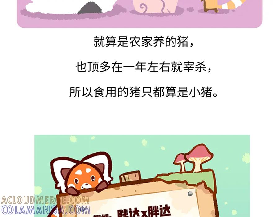 《胖达x胖达》第175话 第31页