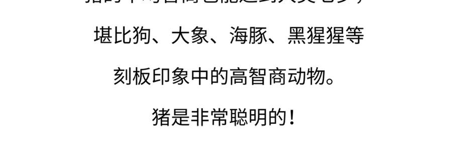 《胖达x胖达》第175话 第24页