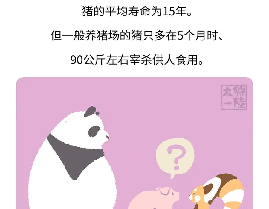 《胖达x胖达》第175话 第30页