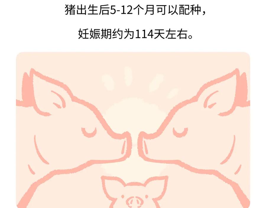 《胖达x胖达》第175话 第28页