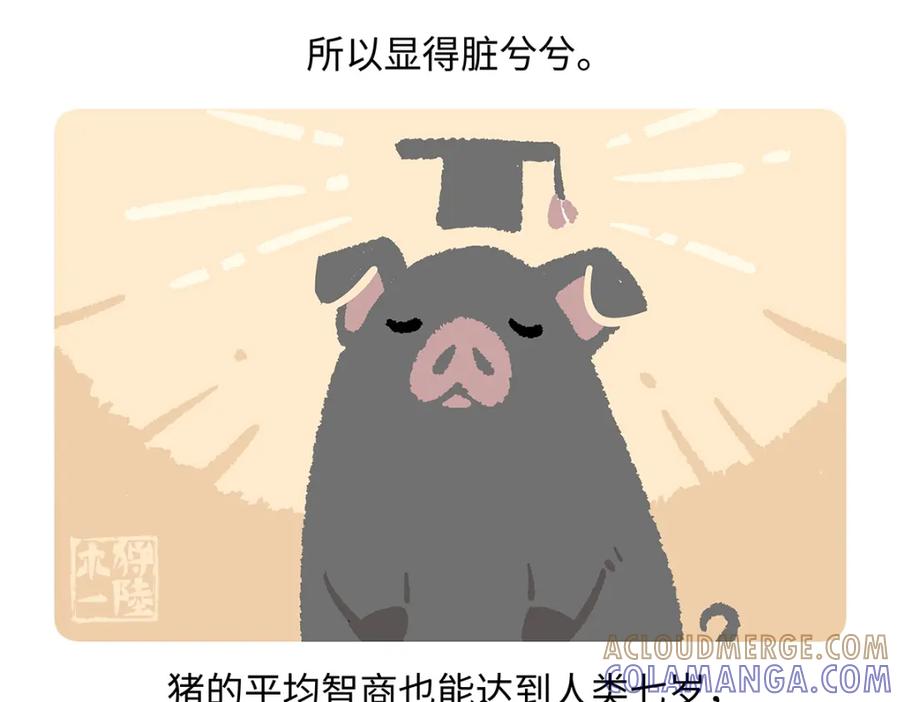 《胖达x胖达》第175话 第23页