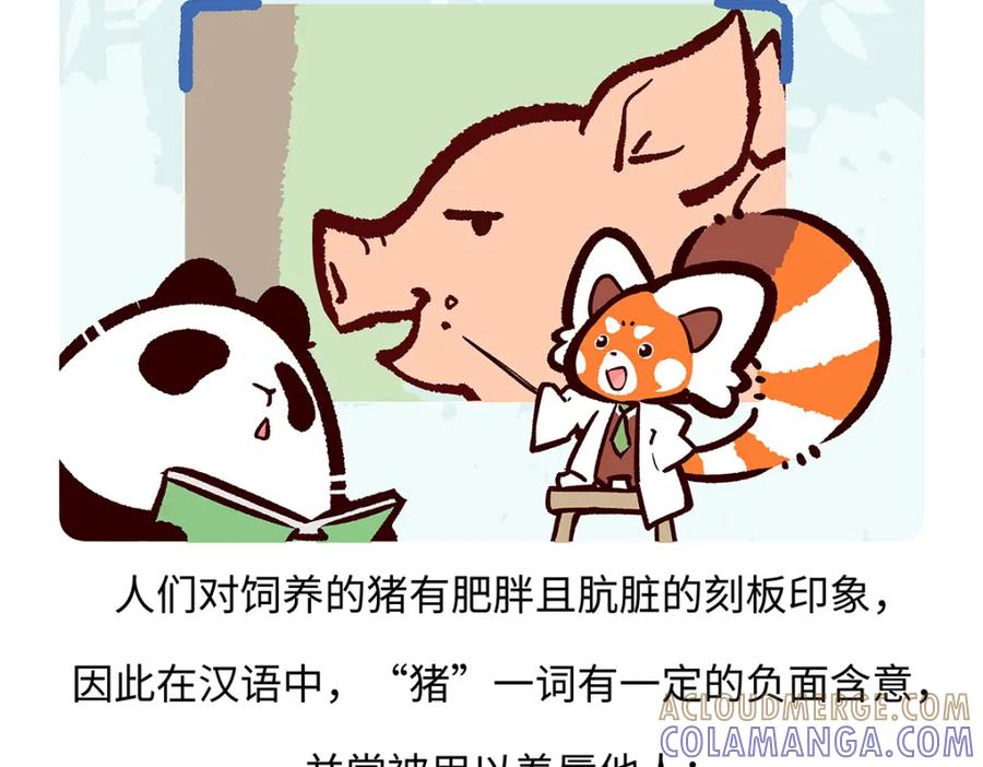 《胖达x胖达》第175话 第19页