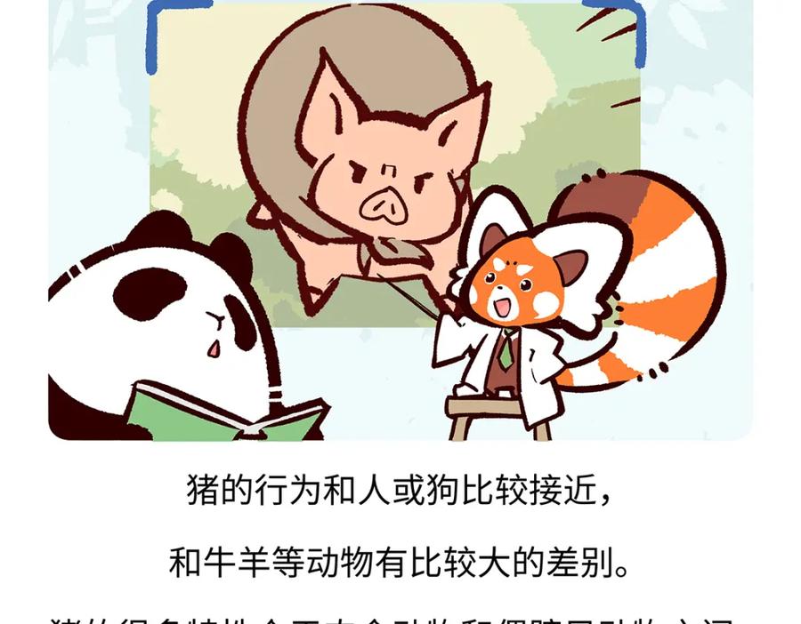 《胖达x胖达》第176话 第18页