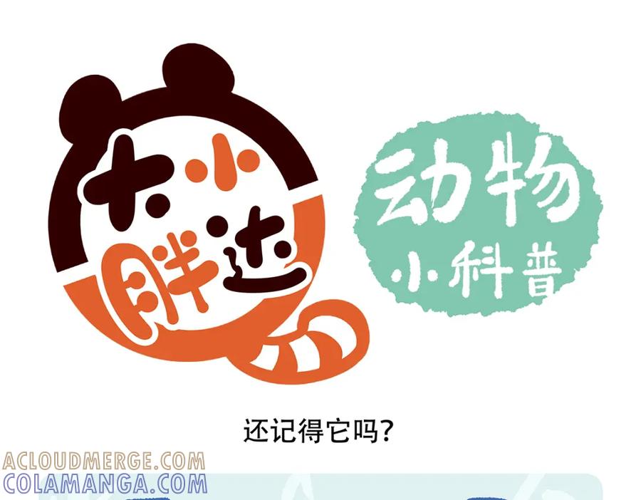 《胖达x胖达》第176话 第17页