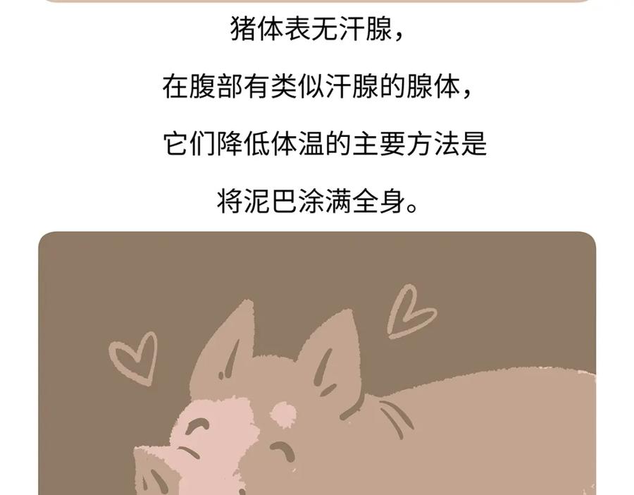 《胖达x胖达》第176话 第22页