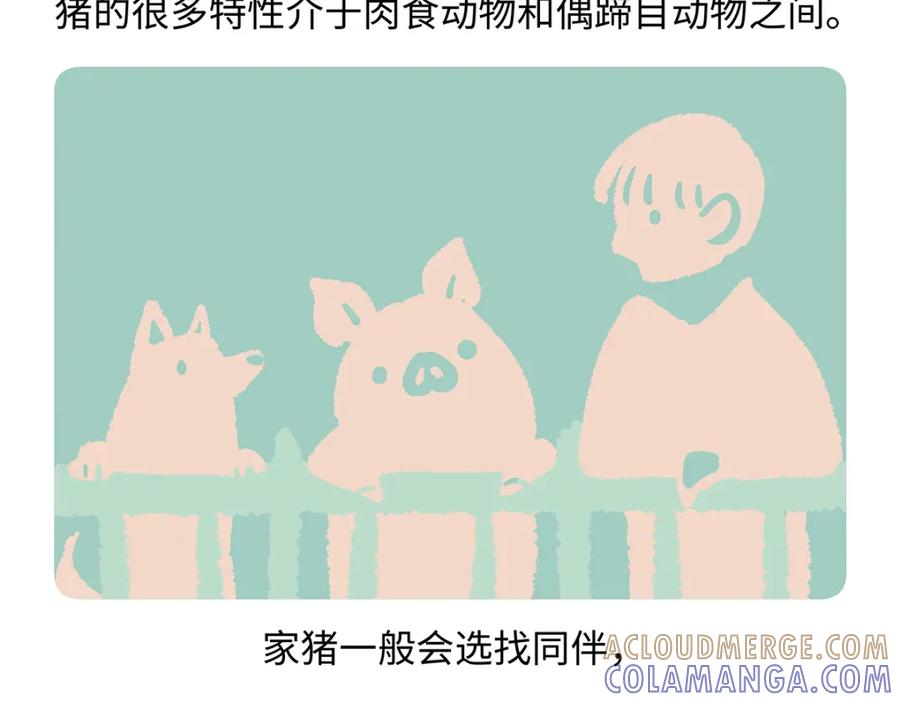 《胖达x胖达》第176话 第19页