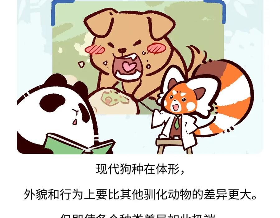 《胖达x胖达》第177话 第18页