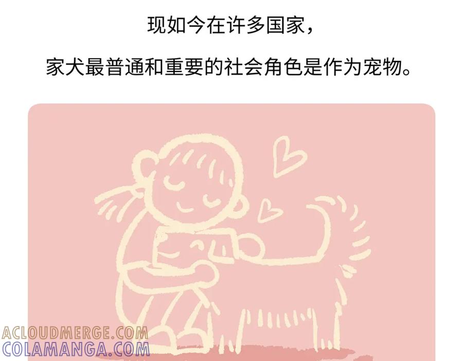 《胖达x胖达》第177话 第27页
