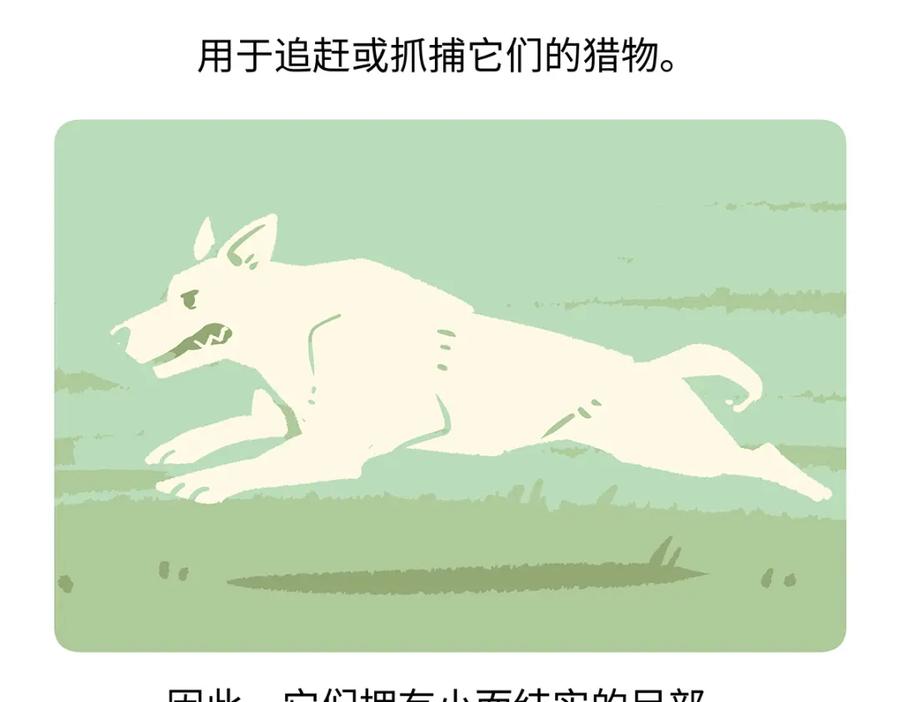 《胖达x胖达》第177话 第22页