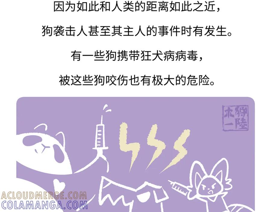 《胖达x胖达》第177话 第29页