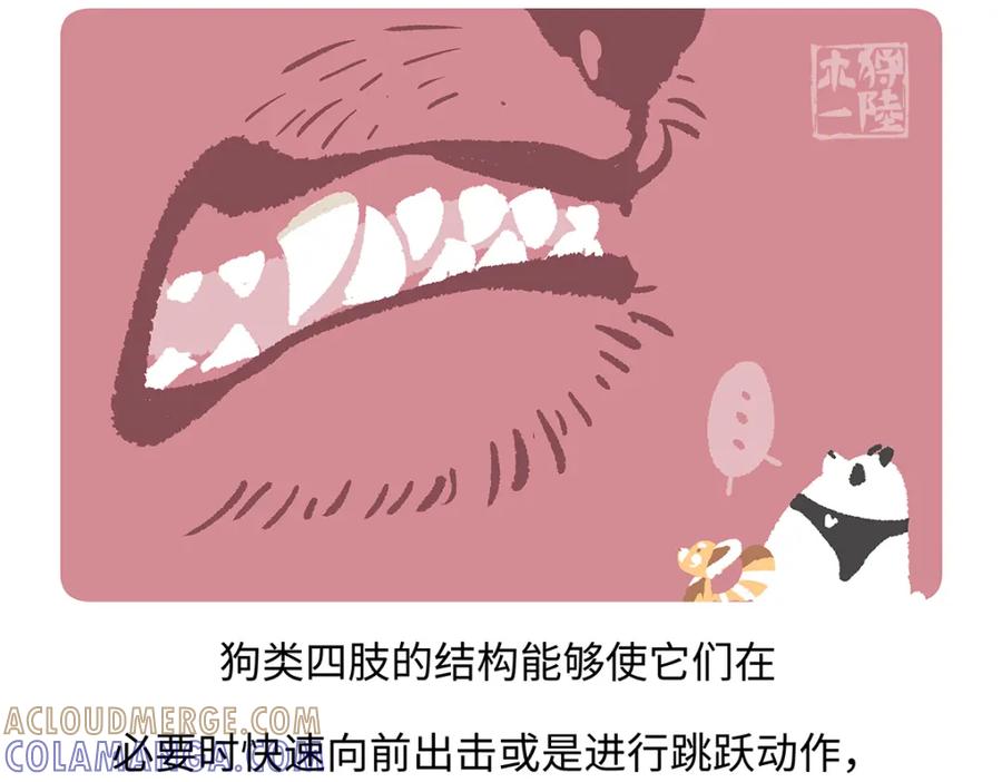 《胖达x胖达》第177话 第21页