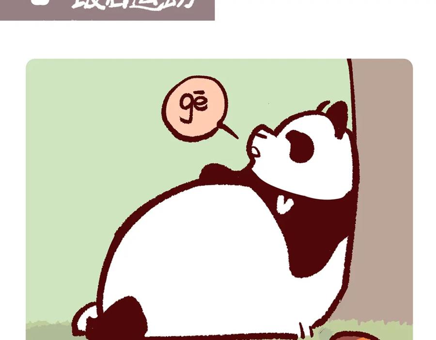 《胖达x胖达》第177话 第12页