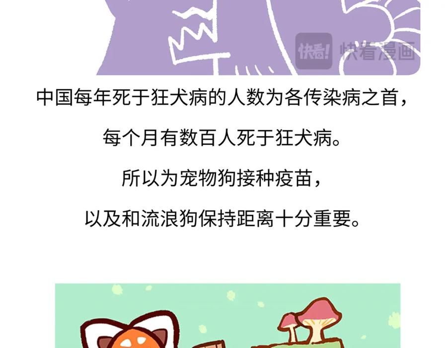 《胖达x胖达》第177话 第30页