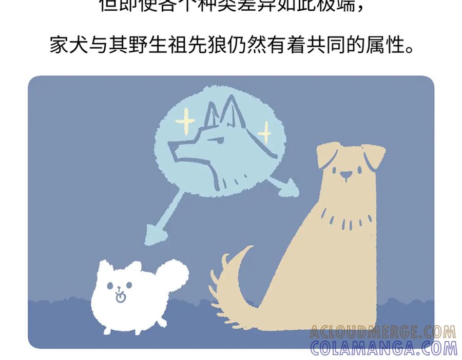 《胖达x胖达》第177话 第19页