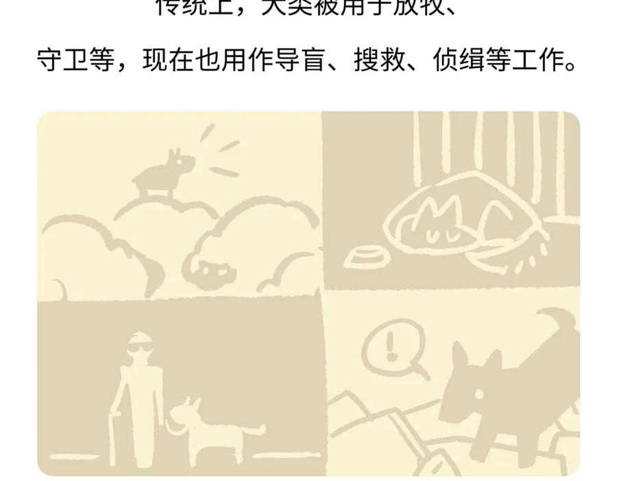 《胖达x胖达》第177话 第26页