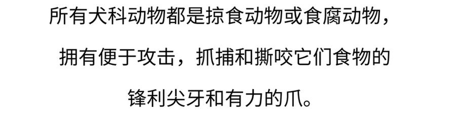 《胖达x胖达》第177话 第20页