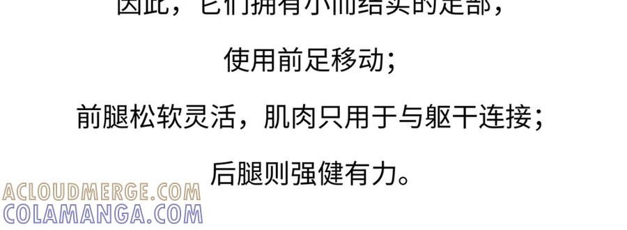 《胖达x胖达》第177话 第23页