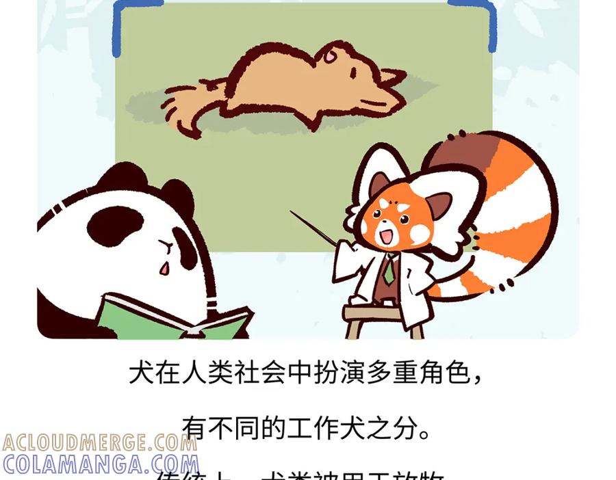 《胖达x胖达》第177话 第25页