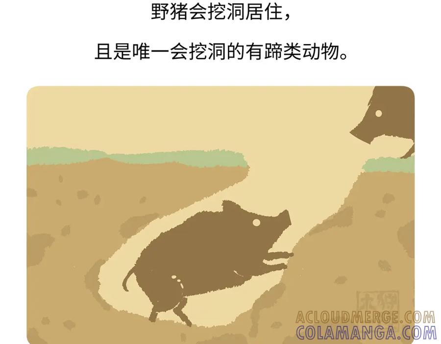 《胖达x胖达》第178话 第27页