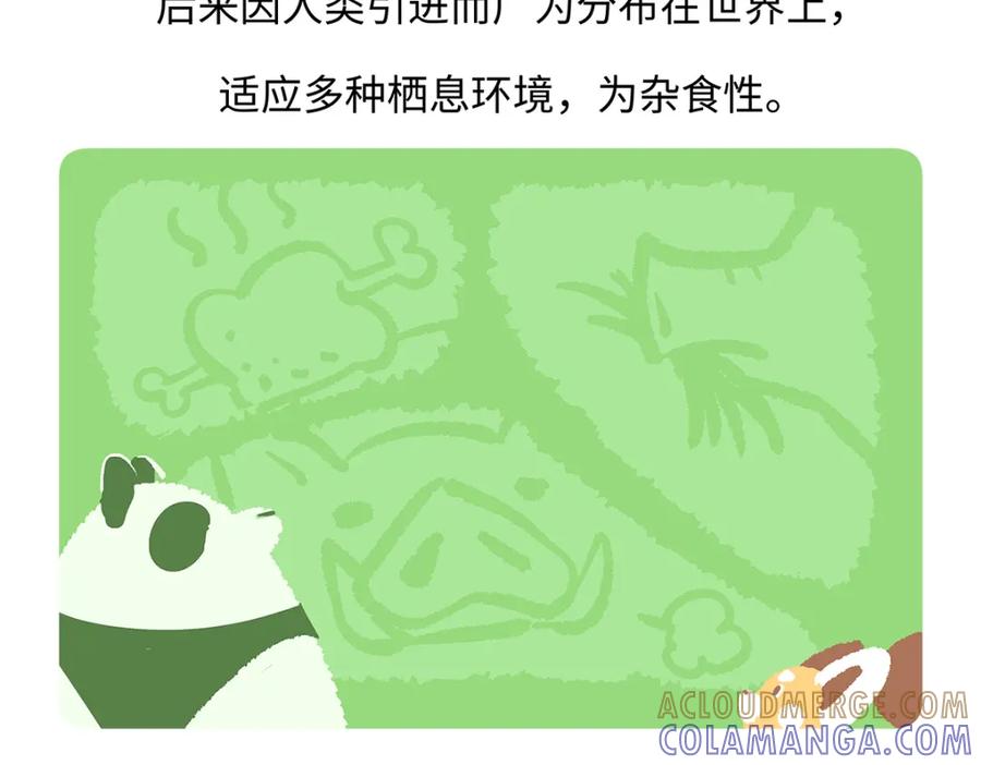 《胖达x胖达》第178话 第19页