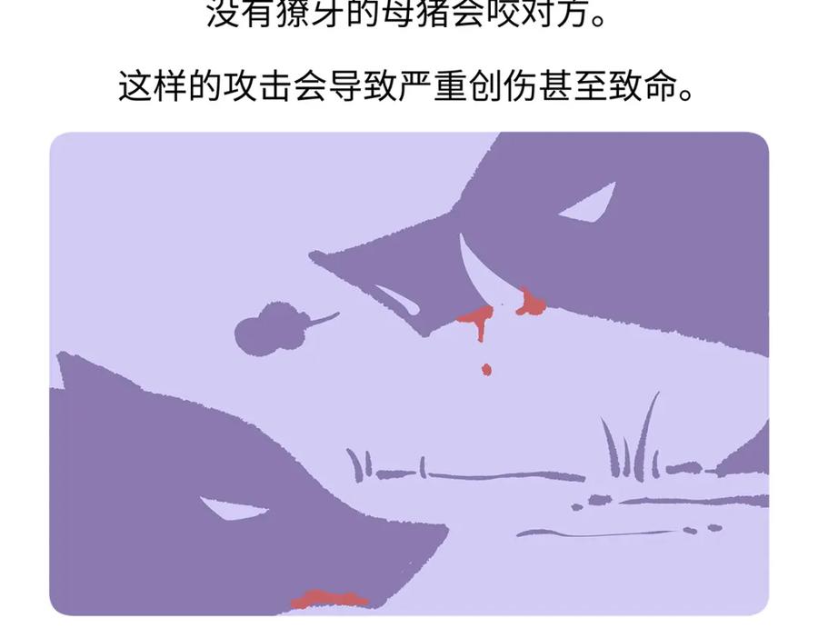 《胖达x胖达》第178话 第26页
