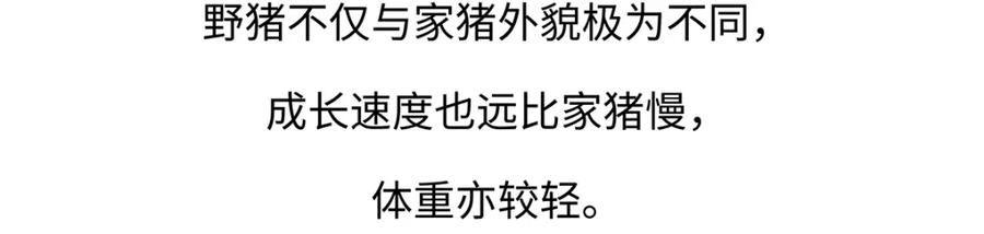 《胖达x胖达》第178话 第20页