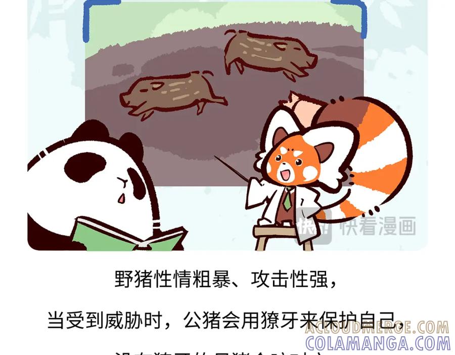 《胖达x胖达》第178话 第25页
