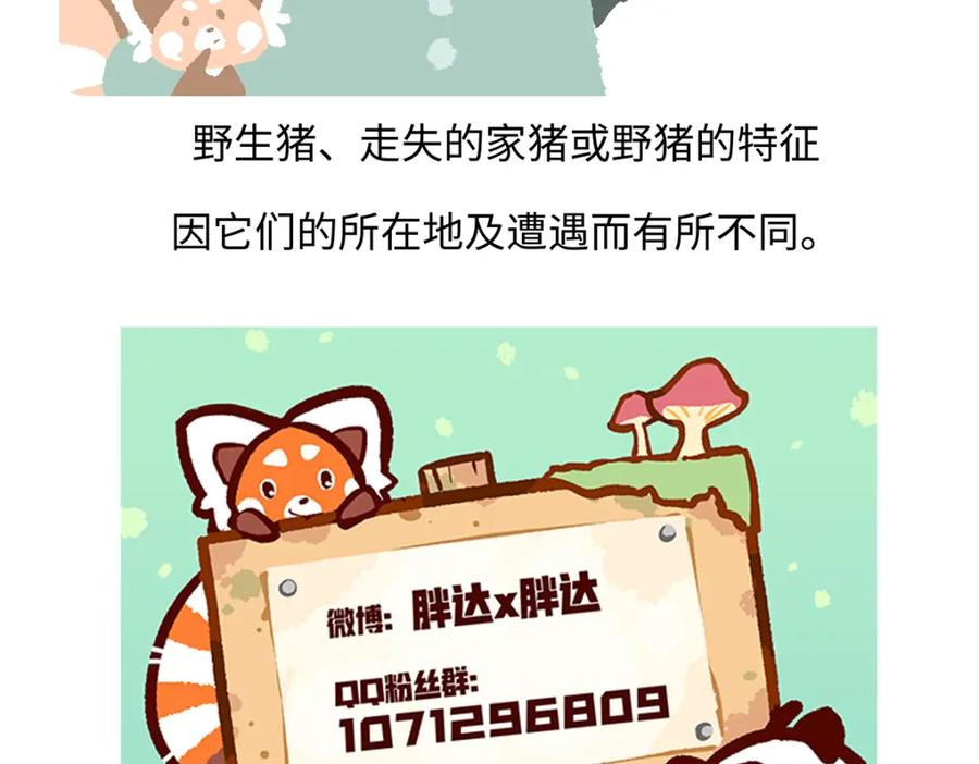 《胖达x胖达》第178话 第30页