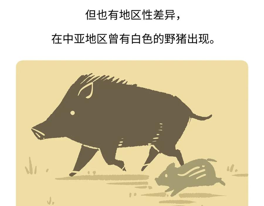 《胖达x胖达》第178话 第22页