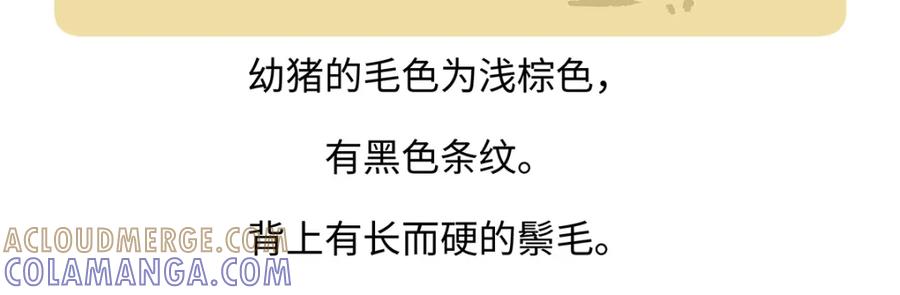 《胖达x胖达》第178话 第23页