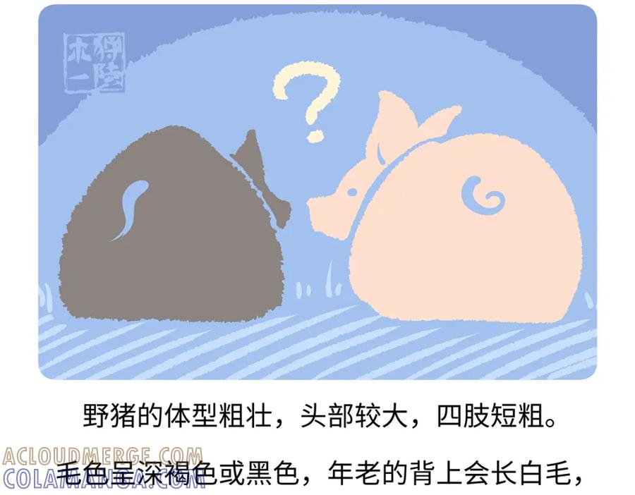 《胖达x胖达》第178话 第21页