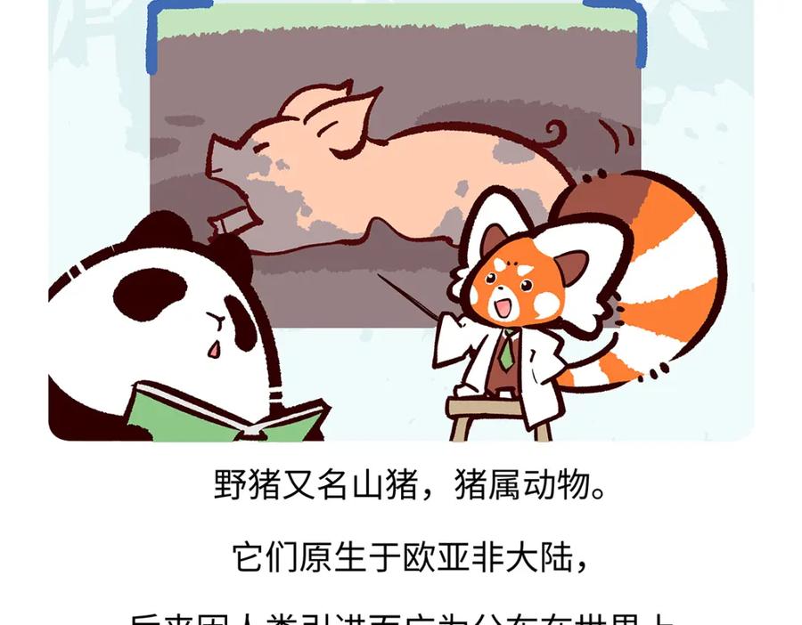 《胖达x胖达》第178话 第18页