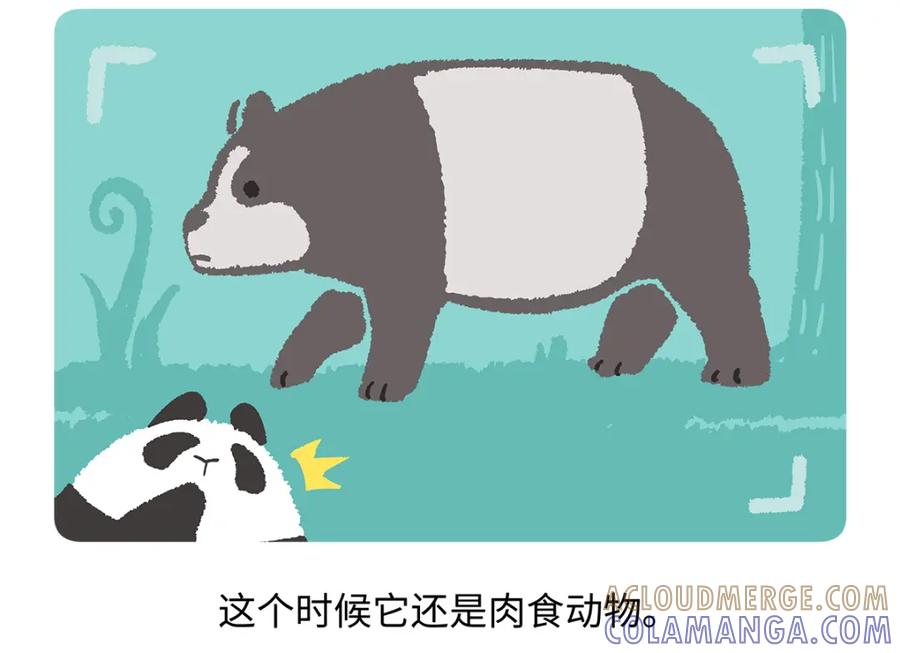 《胖达x胖达》第181话 第19页