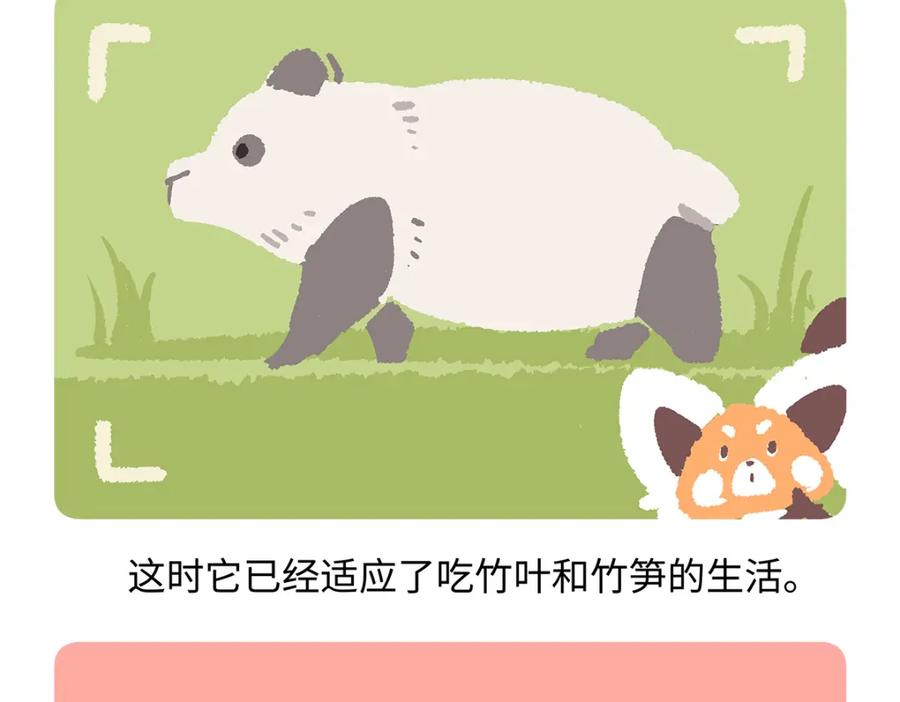 《胖达x胖达》第181话 第24页