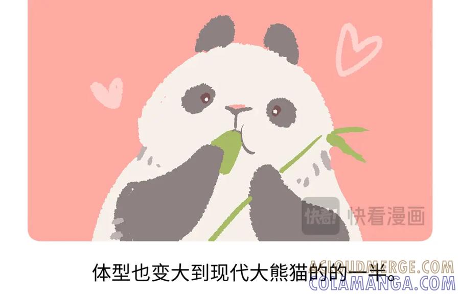 《胖达x胖达》第181话 第25页