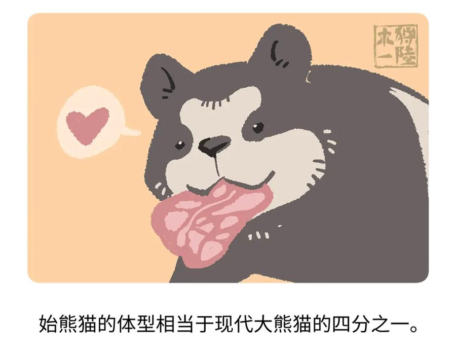 《胖达x胖达》第181话 第20页