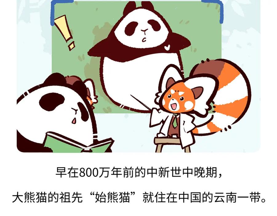 《胖达x胖达》第181话 第18页