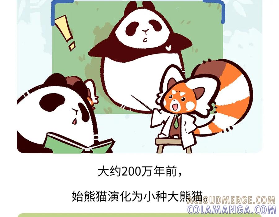 《胖达x胖达》第181话 第23页