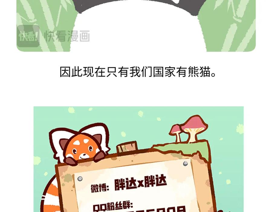 《胖达x胖达》第182话 第26页