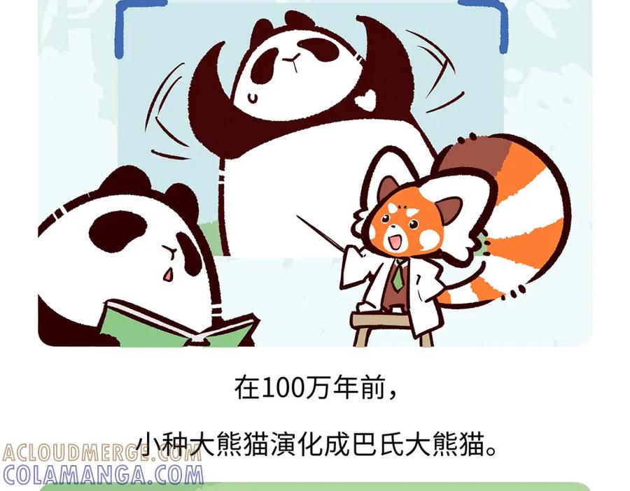 《胖达x胖达》第182话 第17页