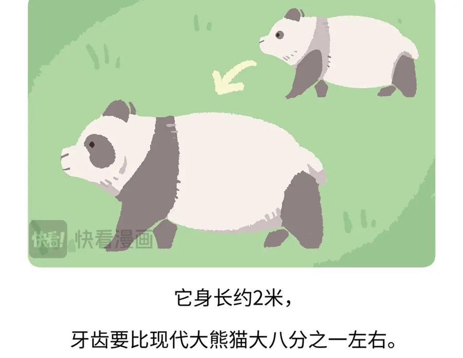 《胖达x胖达》第182话 第18页