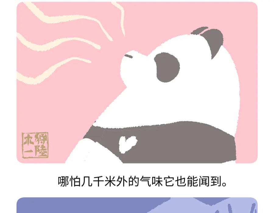 《胖达x胖达》第183话 第28页