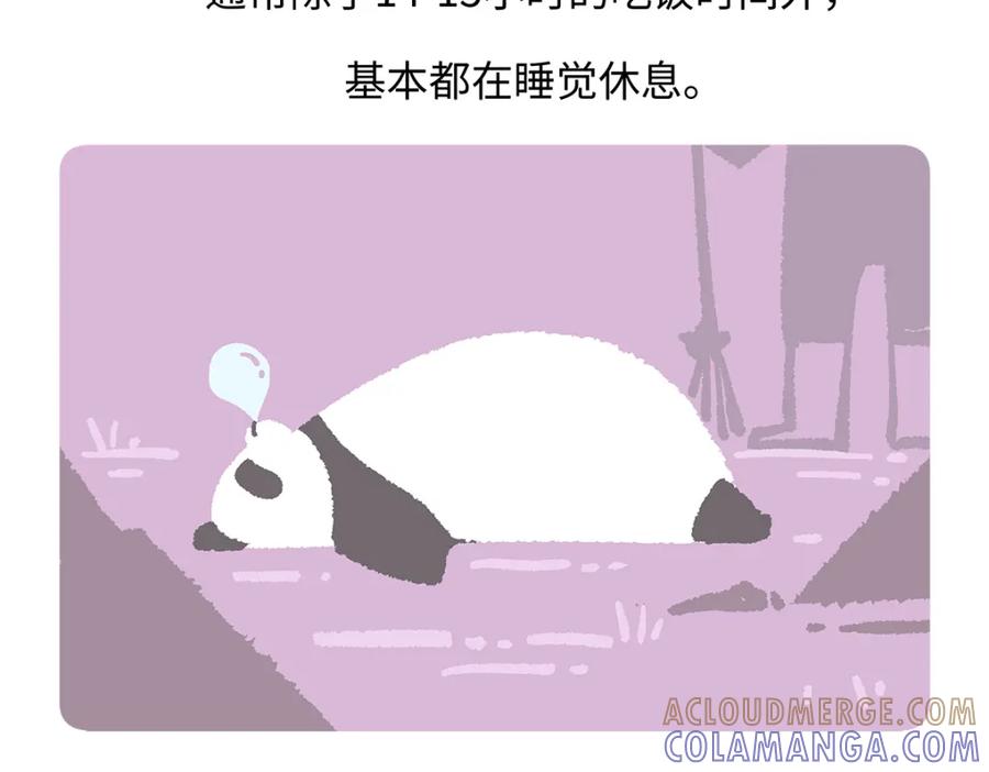 《胖达x胖达》第183话 第23页